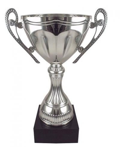 Chrome Trophy Cup