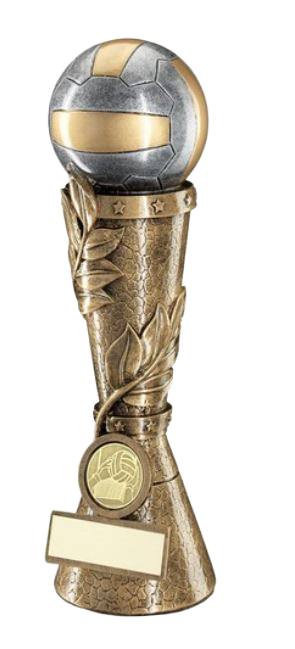 Gaelic Football with Leaf Column Trophy