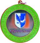 Bronze Connacht Medal