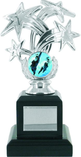 Starburst Silver Trophy