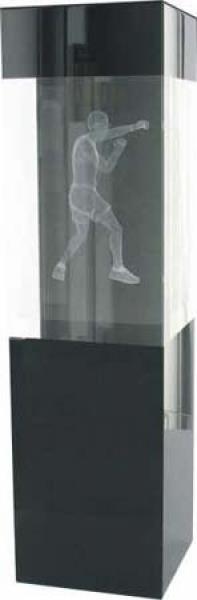 3D Crystal Boxing Trophy