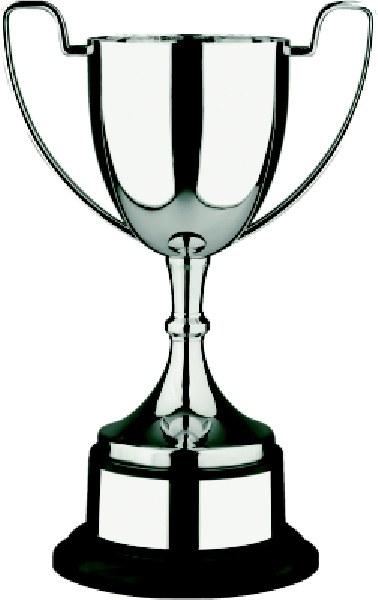 Swatkins Trophy Cup