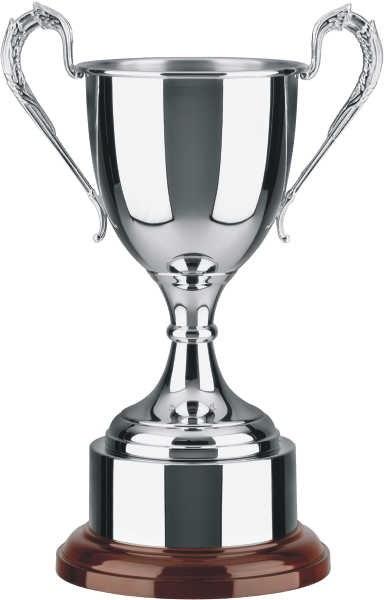 Swatkins Trophy Cup