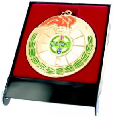 Plastic Medal Box