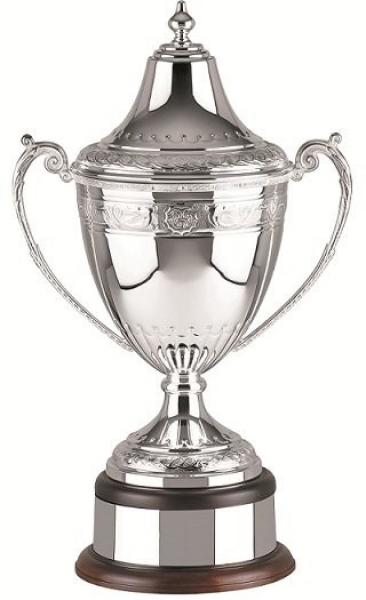 Swatkins Ultimate Celtic Cup