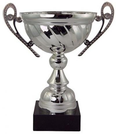 Silver Finish Trophy Cup