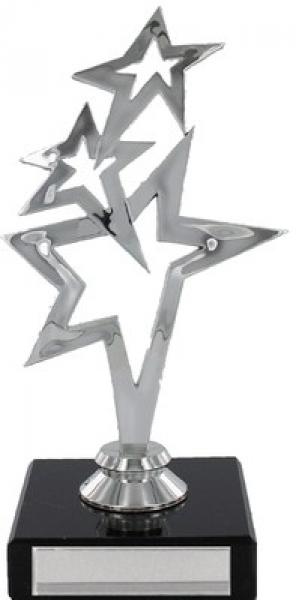 Star Design Trophy Mounted On Black Base