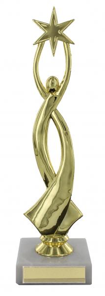 star award trophy