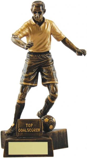 Bronze Annual Players Football Trophy Award