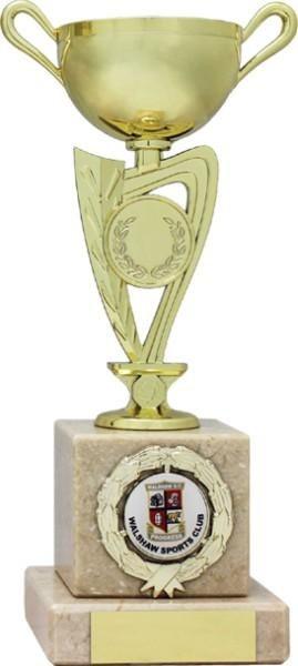 Gold Finish Football Trophy