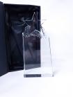 Cuchulainn Crystal Star Award