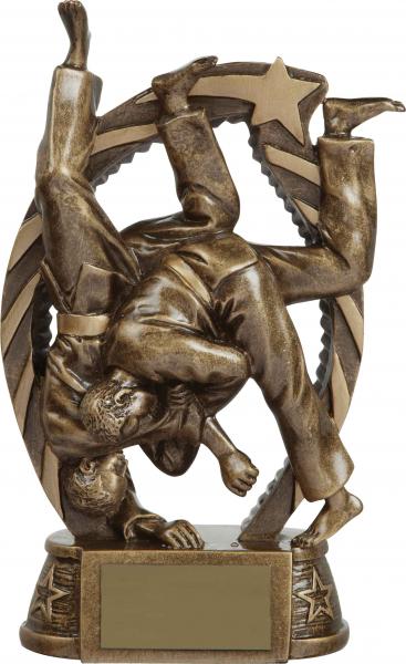 Bronze Martial Arts Trophy
