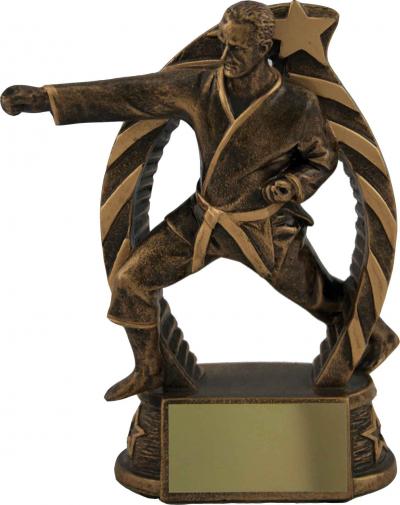 Bronze Martial Arts Trophy