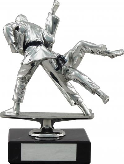 Silver Martial Arts Combatant Award