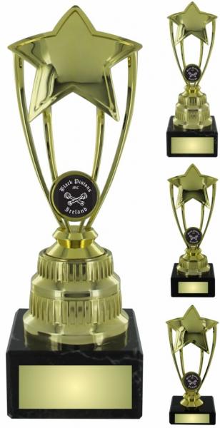 Gold Star Trophy On Black Base