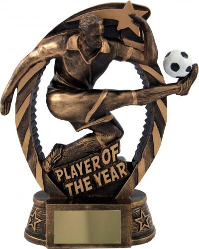 Player Of The Year