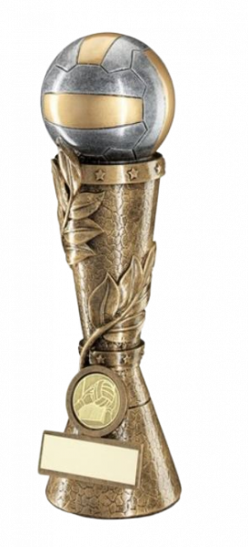 Gaelic Football with Leaf Column Trophy