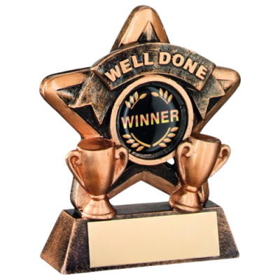 Mini Star Well Done Award