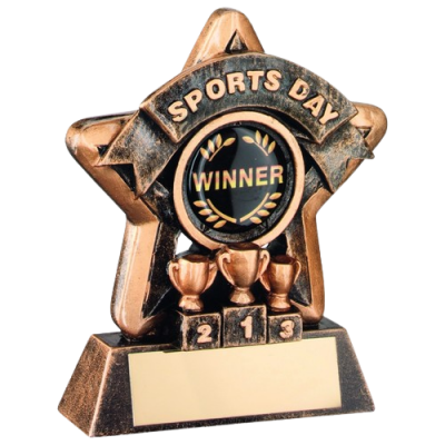 Sports Day Award