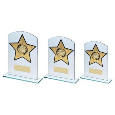 Gold Glitter Star Glass Award