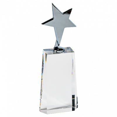 Metal Star on Crystal Award