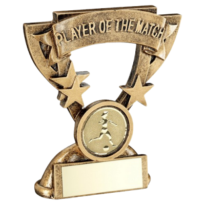 Player of the Match Trophy