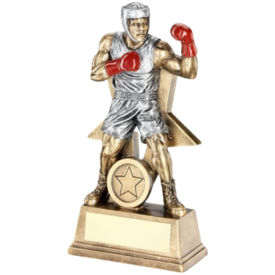 Male Boxing Figure with Star Trophy