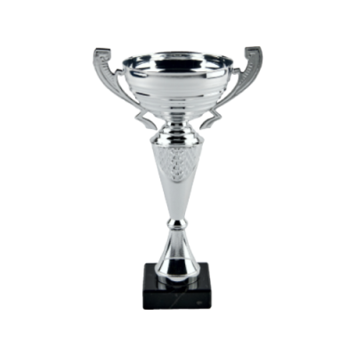 Silver Metal Cup Trophy