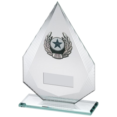 Jade/Silver Diamond Glass Award