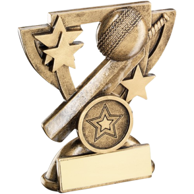 Cricket MIni Cup