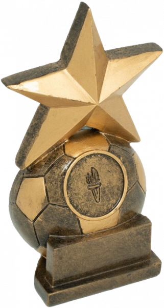 Soccer Star Award