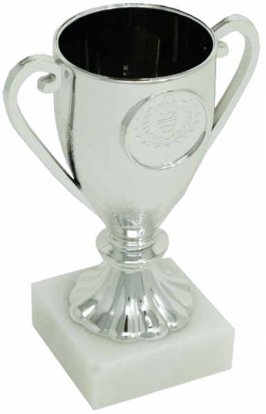 Silver Trophy Cup