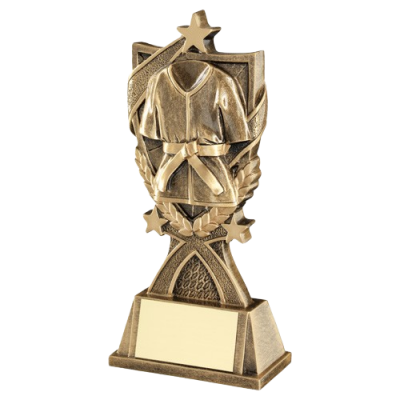 Martial Arts 3 Star Wreath Award