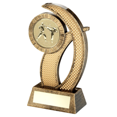 Trophy with Martial Arts Insert