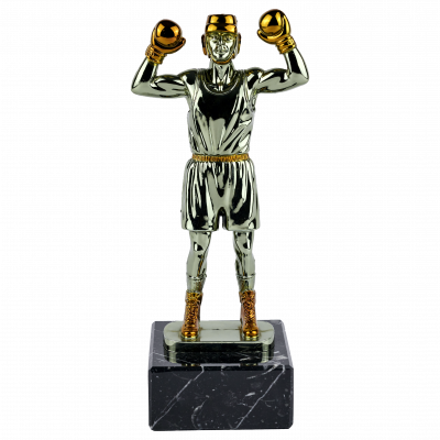 Boxing Trophy
