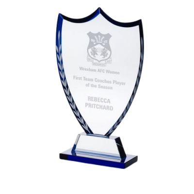 Glass Shield with Blue Edge & Frosted Wreath