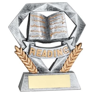 Reading Mini Diamond Award
