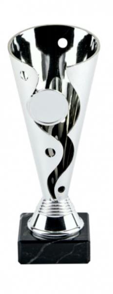 Silver Spiral Cup