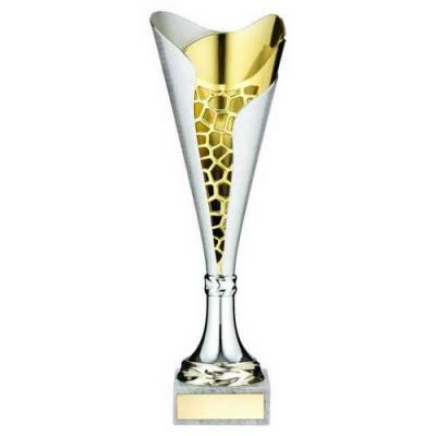 Silver/Gold  Stippled Trophy Cup