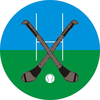 Hurling Medal