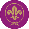scouts medal sticker