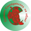 Camogie Medal Sticker