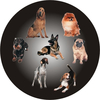 Dog Medal Centre Sticker