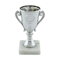 Silver Plastic Cup Trophy