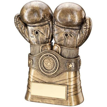 Bronze/Gold Boxing Gloves And Belt Trophy