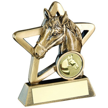 horse mini star award