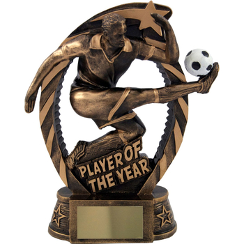 Player Of The Year