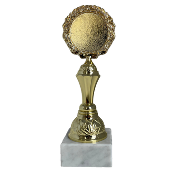 gold trophy on white base