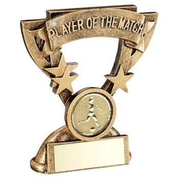 Player of the Match Trophy