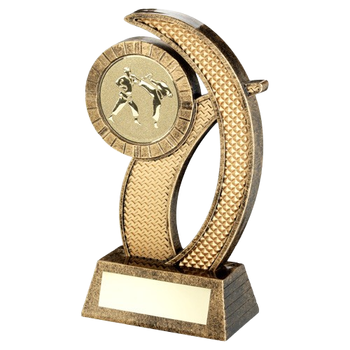 Trophy with Martial Arts Insert